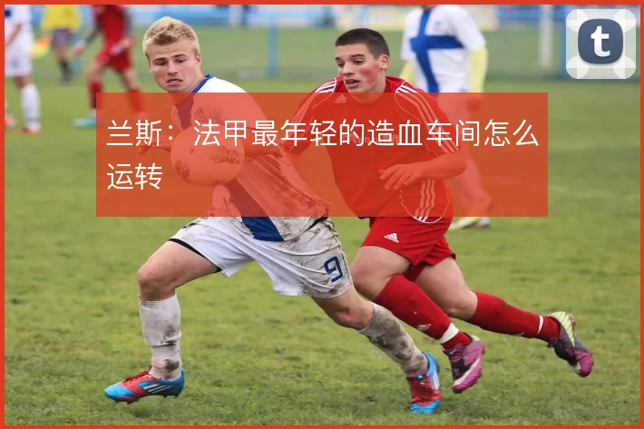 兰斯：法甲最年轻的造血车间怎么运转