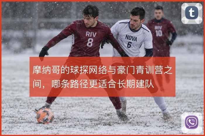 摩纳哥的球探网络与豪门青训营之间,哪条路径更适合长期建队